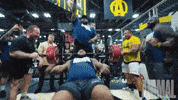 Yell Bench Press GIF by Animalpak