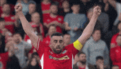 Winning Red Army GIF by Cliftonville Football Club