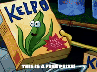 season 5 episode 3 GIF by SpongeBob SquarePants