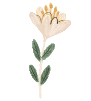 Illustration Flower Sticker