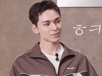 세븐틴 Vernon GIF