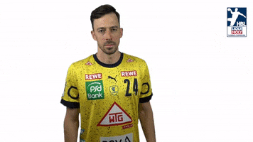 Handball-Bundesliga Handball GIF by LIQUI MOLY HBL