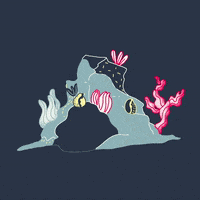 GIF by Ana Pérez López
