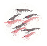 Sea Ocean Sticker by De Aqua Vivo