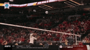 volleyball stanford GIF by NCAA Championships