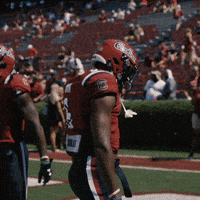South Carolina Gamecocks Dance GIF by gamecocksonline