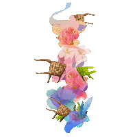 Fish Coral Sticker by King and Rail