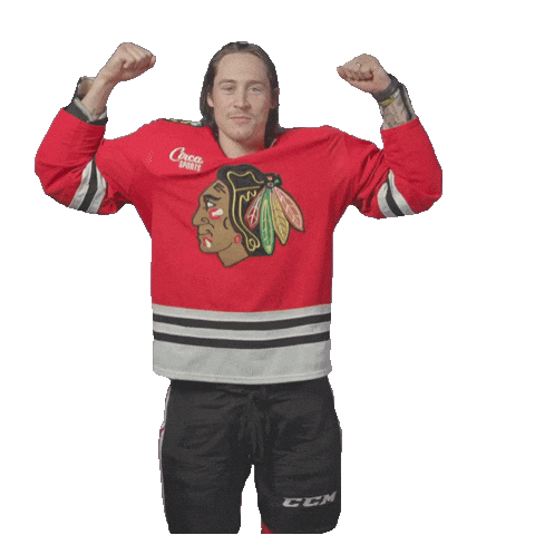 Tyler Bertuzzi Chicago Sticker by NHLBlackhawks