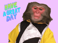 Have A Nice Day Fun GIF
