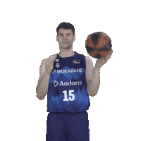 Liga Endesa Sport Sticker by ACB
