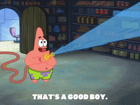 season 8 barnacle face GIF by SpongeBob SquarePants