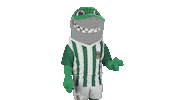 Liga Nos Football Sticker by Rio Ave Futebol Clube