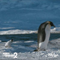march of the penguins fall GIF by HULU