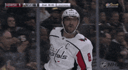 happy ice hockey GIF by NHL