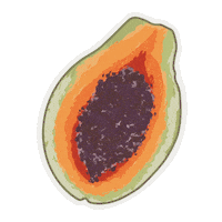Food Summer Sticker