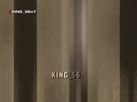 Babar Azam Crown GIF