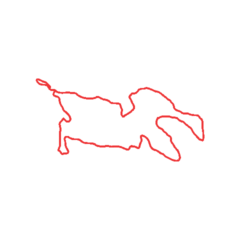 Course Fat Bike Sticker by myTeam Triumph