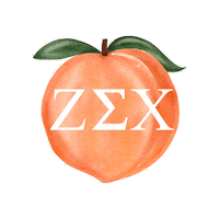 ZetaSigmaChi black peach uni 1991 Sticker