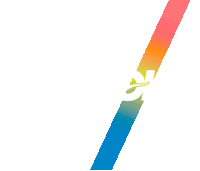 Ccc Occ Sticker by HOKA