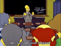 homer simpson episode 22 GIF