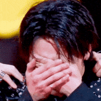 Cry Stray Kids GIF