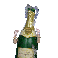 Oud En Nieuw Champagne Sticker by RTL