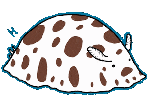 Its Me Hello Sticker by Tostoini