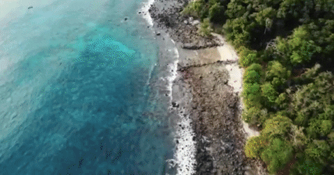 Grupo1007 giphygifmaker GIF