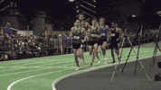 track and field running GIF by RunnerSpace.com