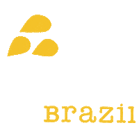 Patternbrazil brand pattern estamparia patternbrazil Sticker