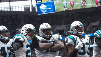 Nfl GIF by Carolina Panthers