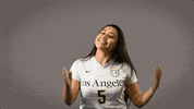 LAGoldenEagles soccer ncaa womens soccer calstatela GIF