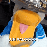 SanPitoPato donald duck pato pato donald san pito pato GIF