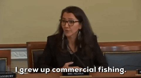 Fishing Bycatch GIF by GIPHY News