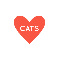 Cat Love Sticker
