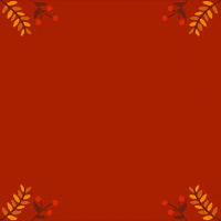 Fall Season Christmas GIF by Jessica Lau