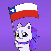 Flag Chile GIF by Lucky Kat Studios