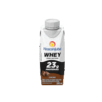 Piracanjuba piracanjuba piracanjubawhey whey pirawhey protein proteina treino musculacao academia yoga exercicio banana cacau frutasvermelhas pastadeamendoim batatadoce baunilha zerolactose zero lactose cacau zerolactose chocolate Sticker