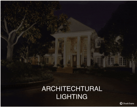 amberoclights giphygifmaker GIF