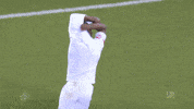 2. bundesliga football GIF by 1. FC Köln