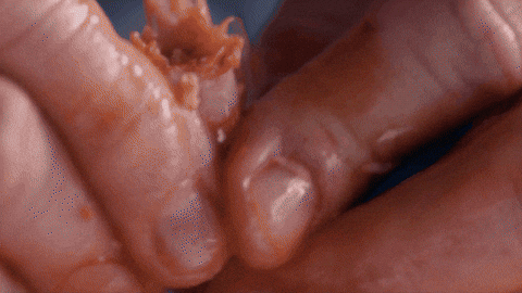 mariayanez giphygifmaker GIF