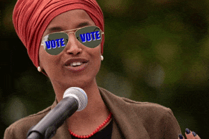 transgreaser community lgbt vote trans GIF