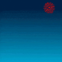 New Year Penguin GIF by Pudgy Penguins