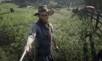 red dead redemption 2 GIF