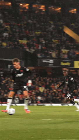 West Brom Price GIF by West Bromwich Albion