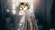 Cryptocurrency Memecoin GIF by Dogelon Mars