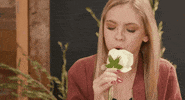 GIF by Jordyn Jones Web