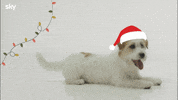 Film Natale GIF by Sky Italia