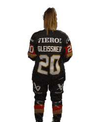 Ice Hockey Sticker by deb_teams