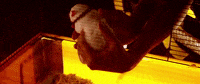 battaste art film music video rock GIF